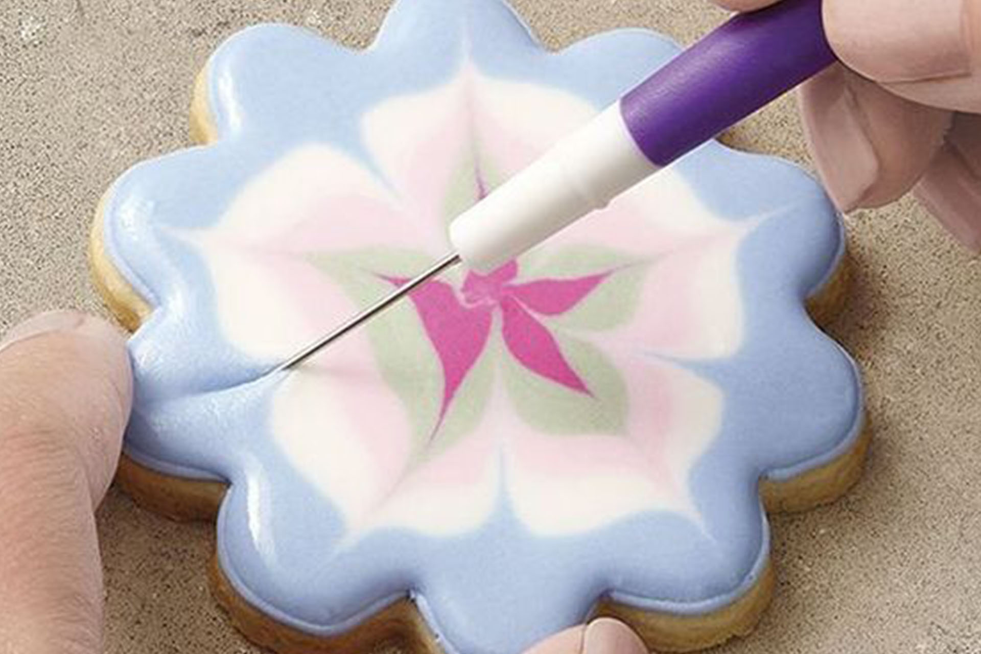 15595_1556969628_33290231041281_o