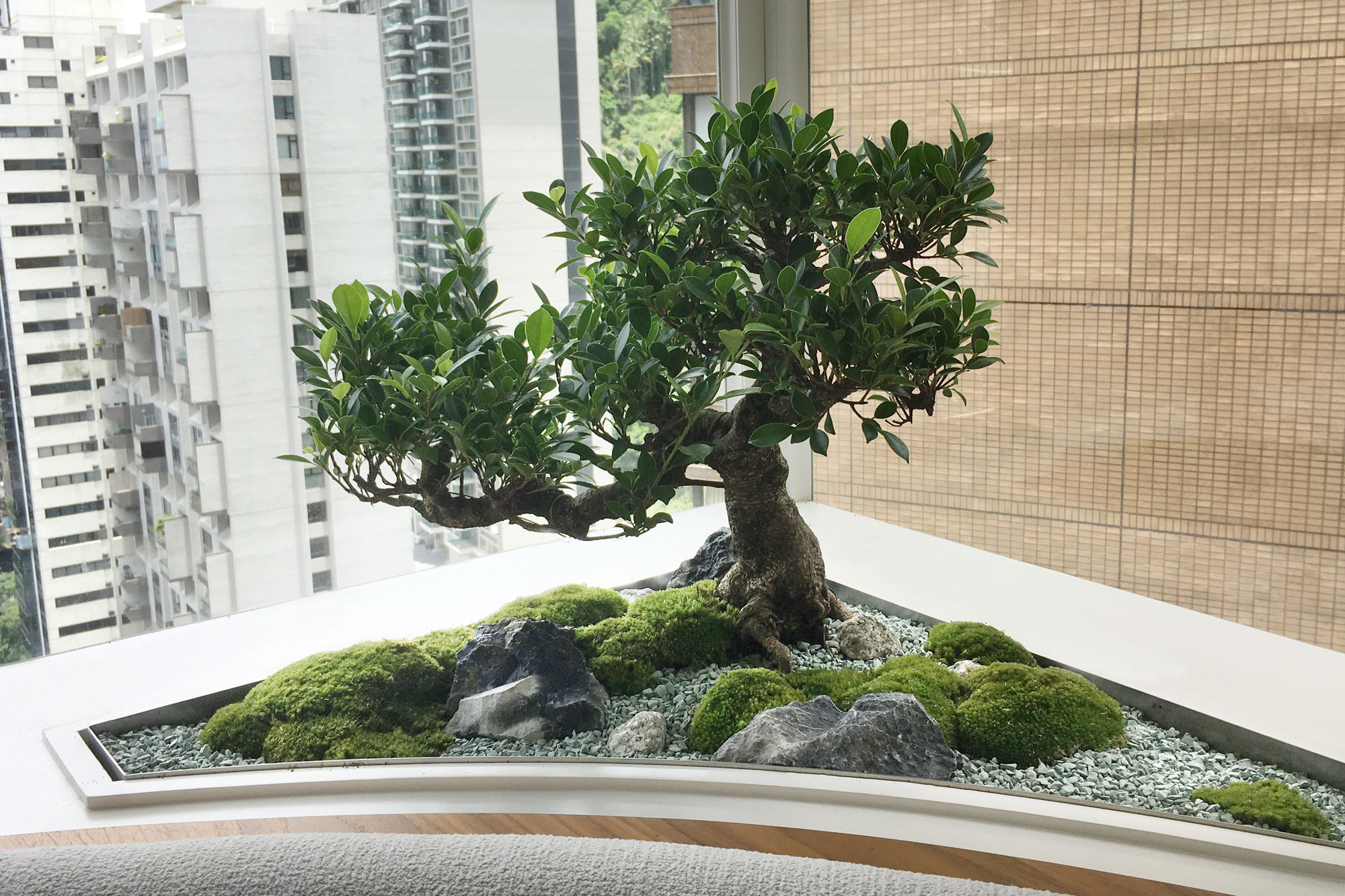 Zen Bonsai Garden - Bonart Group