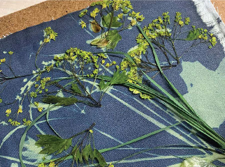 KIDS Cyanotype-min-12